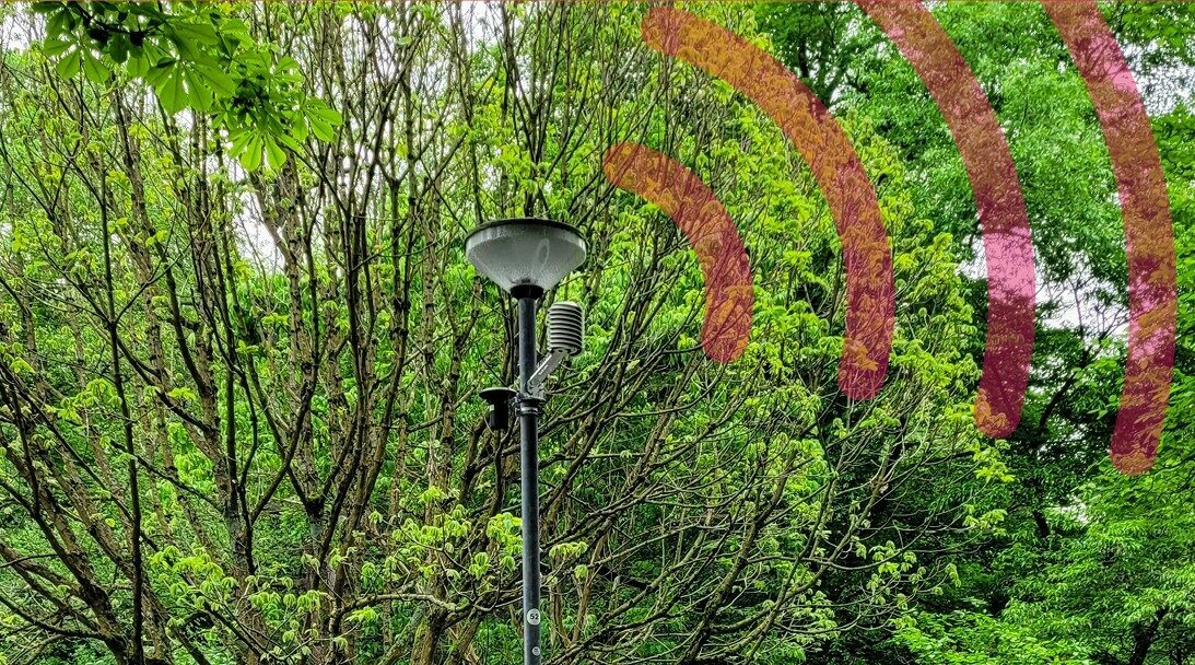 Bild der Wetterstation im Park Schöntal.